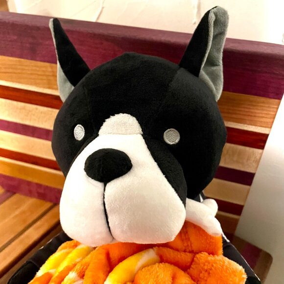 Adorable Kid's Halloween Skeleton Buddy and Throw! NWT - Picture 2 of 9